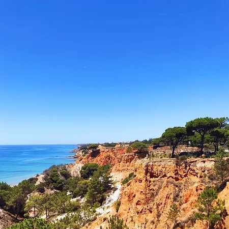 Stunning Sunrise & Sunset Rooftop By Becherish Albufeira